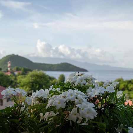 Bungalow Anse Figuier Terre-De-Haut Buitenkant foto