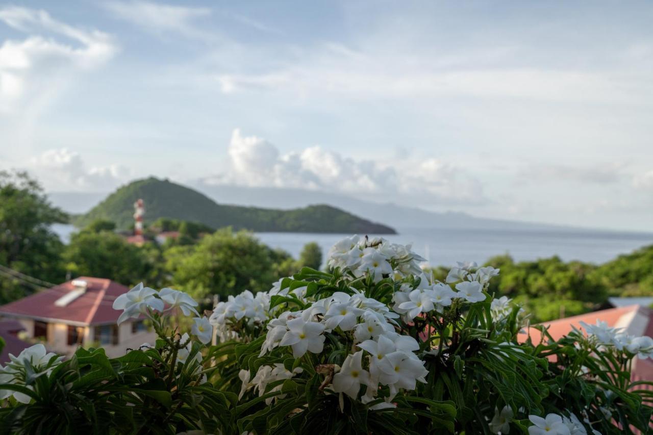 Bungalow Anse Figuier Terre-De-Haut Buitenkant foto