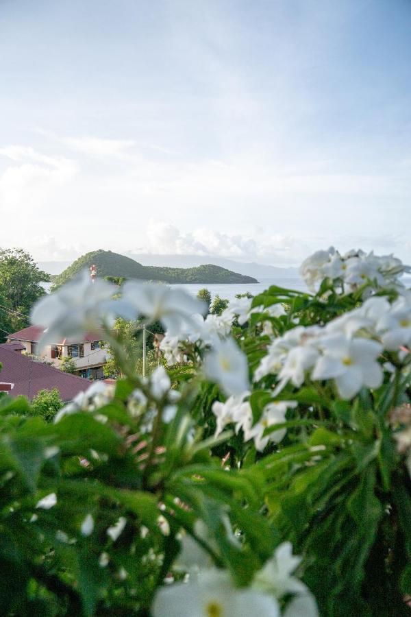 Bungalow Anse Figuier Terre-De-Haut Buitenkant foto