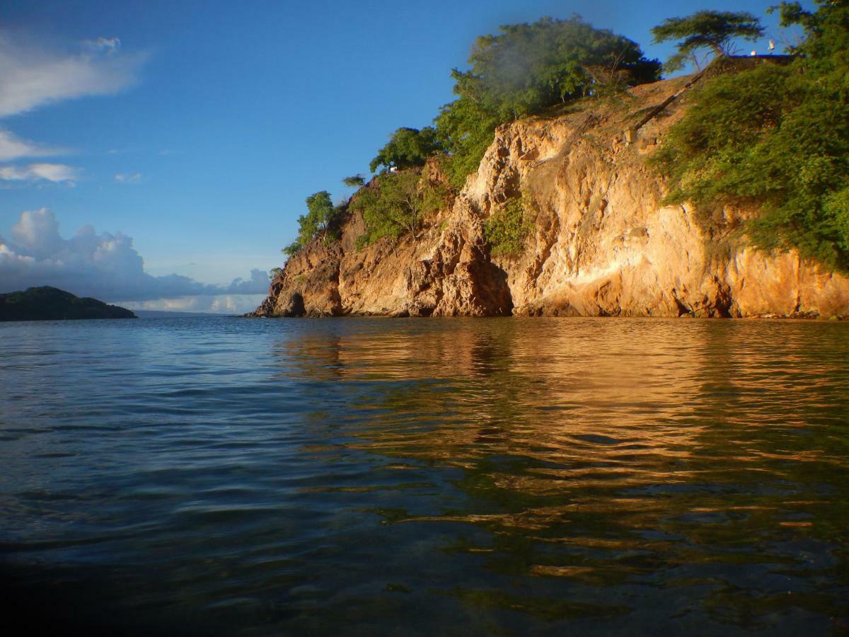 Bungalow Anse Figuier Terre-De-Haut Buitenkant foto