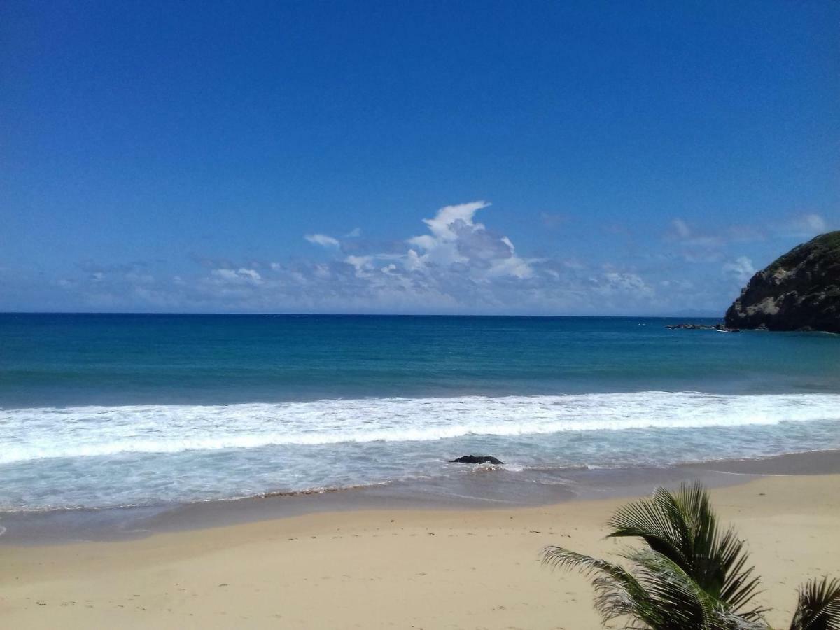 Bungalow Anse Figuier Terre-De-Haut Buitenkant foto